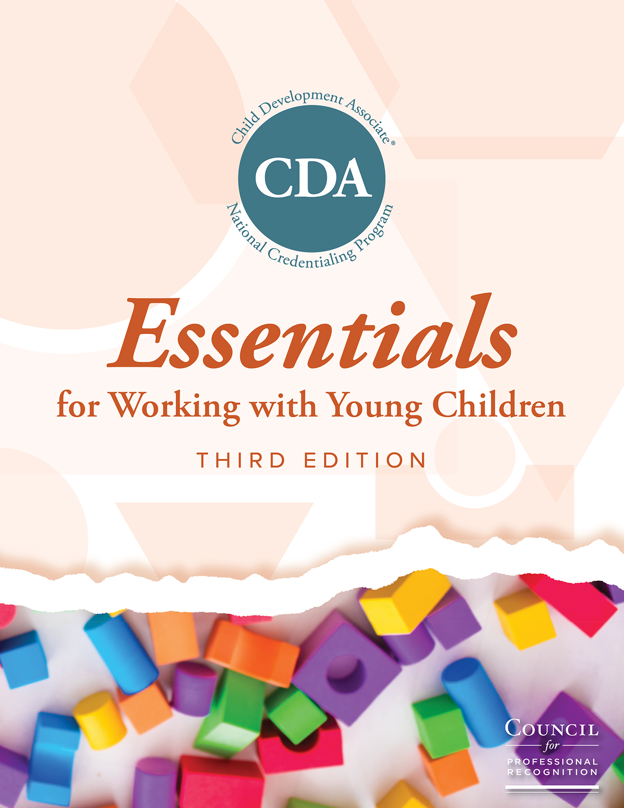 Fundamentos para trabajar con niños pequeños - Tercera edición